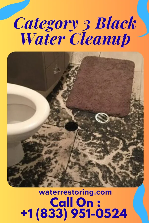 Category 3 Black Water Cleanup in Lock Haven, PA