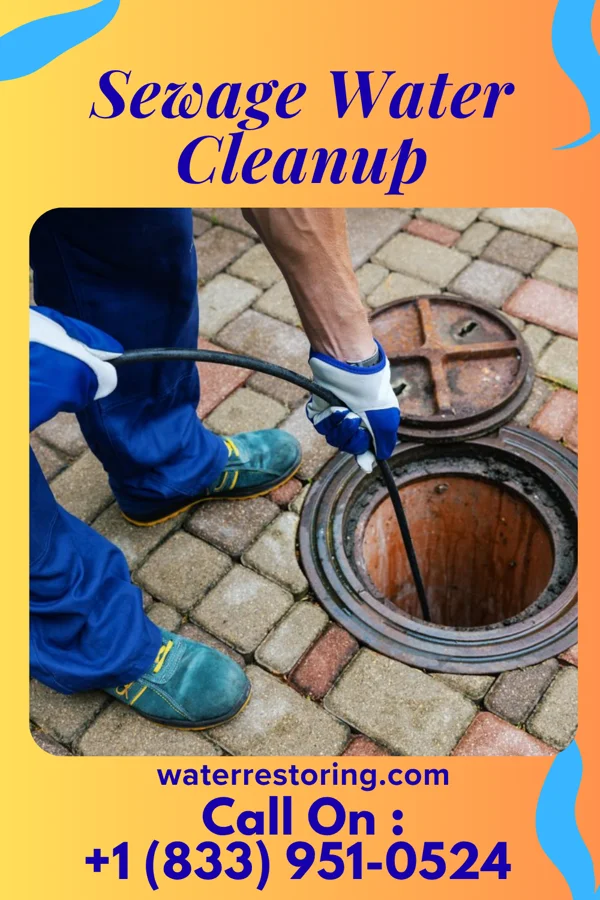 Sewage Water Cleanup in Lock Haven, PA