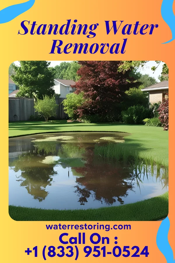 Standing Water Removal in Lock Haven, PA